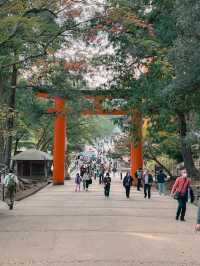 【奈良市】学問の神様も歌を詠んだ紅葉名所『手向山八幡宮』