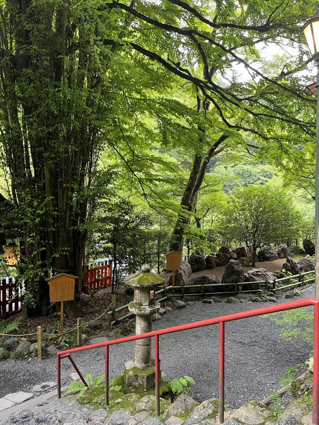 🇯🇵京都貴船流水麵🍜