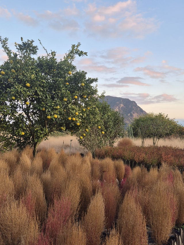 ๐ซง ์ฐ๋ฐฉ์ฐ์ ๋ง์ฃผํ ์ ์ฃผ ๋ง๋
ธ๋ฅด๋ธ๋ ์ ์ ๐ ๐ซง ์ฐ๋ฐฉ์ฐ์ ๋ง์ฃผํ ์ ์ฃผ ๋ง๋
ธ๋ฅด๋ธ๋ ์ ์ ๐