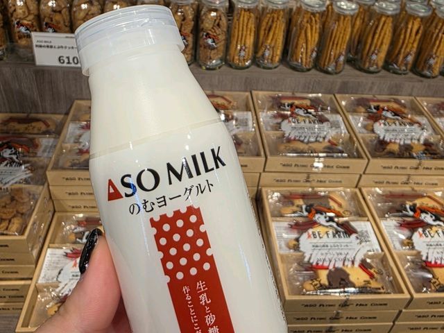 ​[구마모토 근교] 뚜벅이도 OK! 아소 산 버스 투어 & 아소 신사 맛집 '하나비시' 아카규동 먹방 🌋