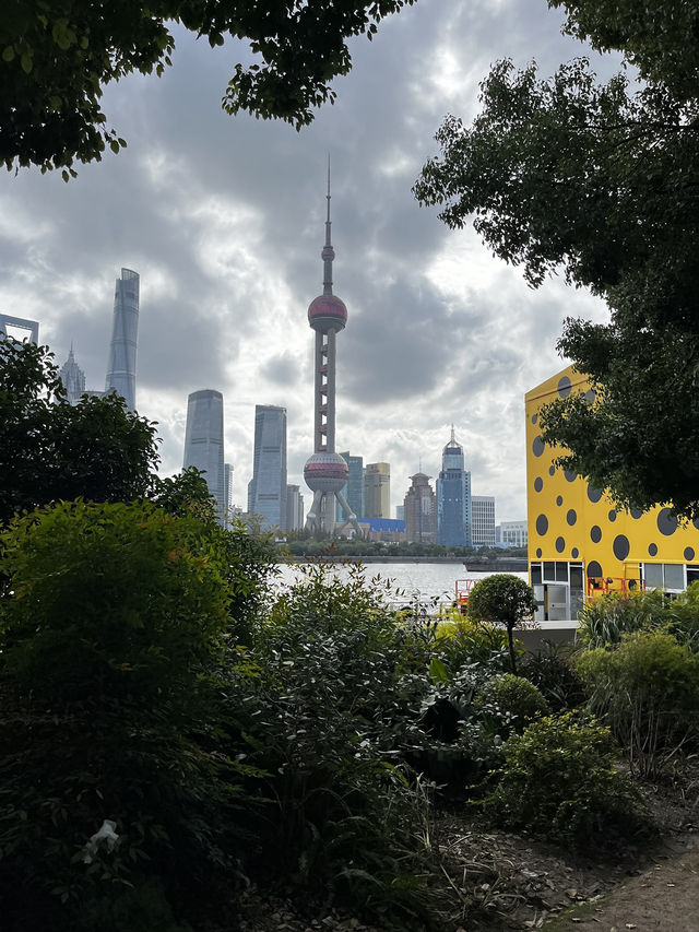 The north bud shanghai :) มุมถ่ายรูปสุดฮิต The north bud shanghai :) มุมถ่ายรูปสุดฮิต