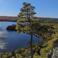 Algonquin Provincial Park – Ontario’s Legendary Wilderness Escape