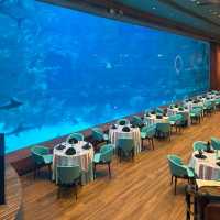 Adventure Awaits: VinWonders in Phu Quoc, Vietnam