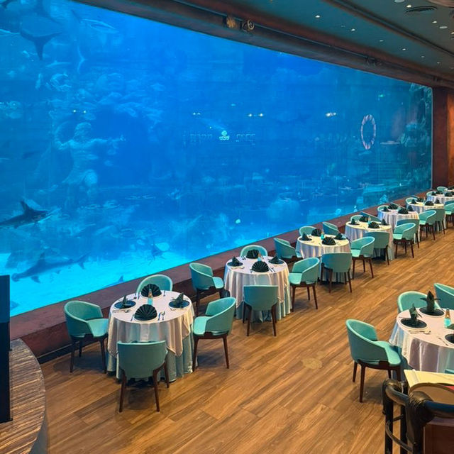 Adventure Awaits: VinWonders in Phu Quoc, Vietnam