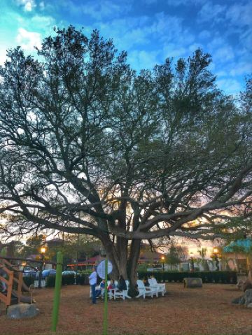 ハリファックス夏の探索、絶対外せない「八角星型要塞」