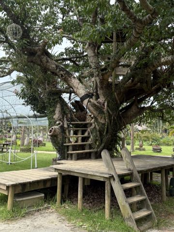 🌴南国の風に包まれる、癒しと発見のガーデン🌿✨ | Trip.com 沖縄市