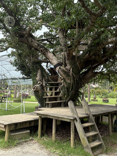 🌴南国の風に包まれる、癒しと発見のガーデン🌿✨ | Trip.com 沖縄市