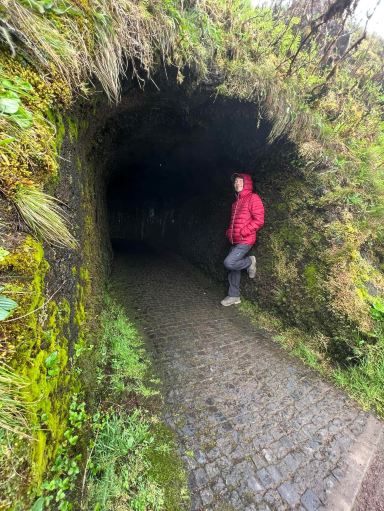 Faial Island Day Trip: Ultimate Guide to the Blue Island 💙🌺