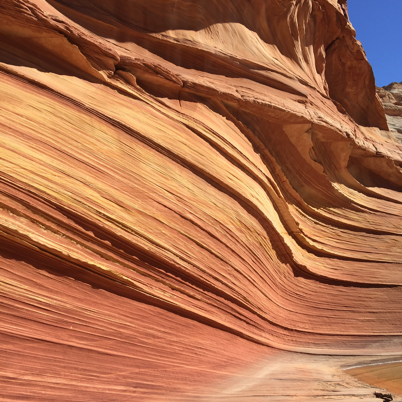 【美國 攻略 2026】Coconino County Trip.com 精選 — 港人實用指南 Coconino County - Nature's Wave in Arizona. - 圖 3