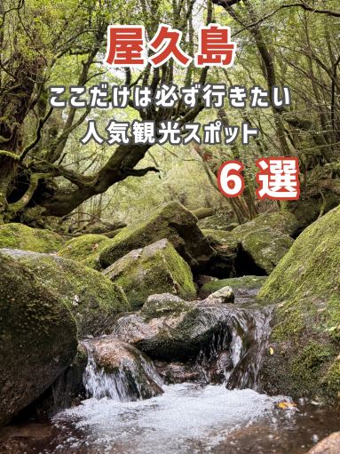[Yakushima] 6 Must-Visit Tourist Spots You Can't Miss.