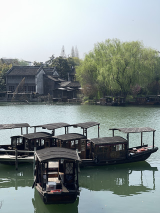 Lost in the Timeless Beauty of Wuzhen