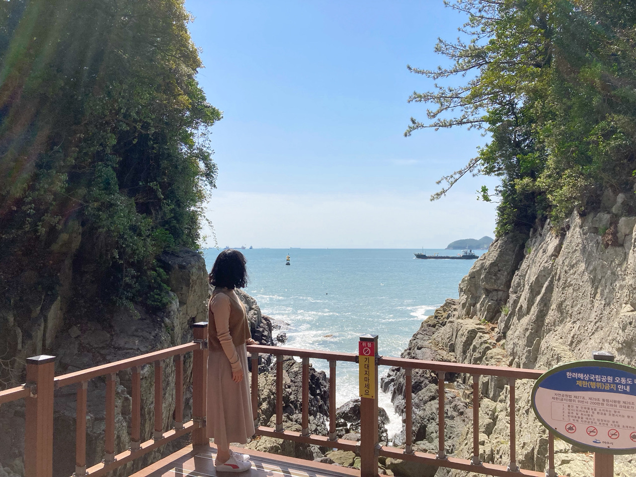 A Journey Across the Yeosu Odongdo Bridge to Meet the Lush Forest and the Vast Sea.
