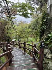 [서귀포 산책 명소] 바다 전망이 매력적인 칠십리공원