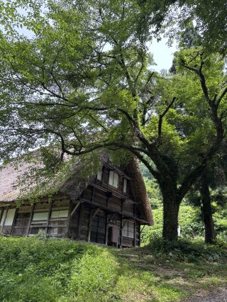 夏の五箇山：ロードトリップで絶対外せない穴場スポット。