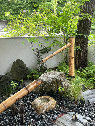 這價格真的假的？首爾→東京 單程7萬韓元起