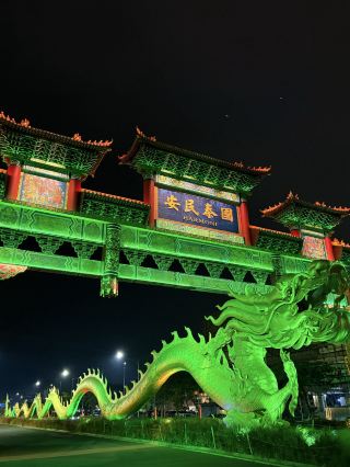 PIK 2 hits completely differently at night! 🐉✨ 