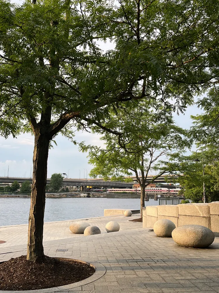 🌿 納舒亞街公園 – 查爾斯河沿岸的一個小公園。
