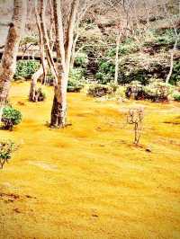  Echigo-Yuzawa’s Sake Brewery & Onsen Alley Walk