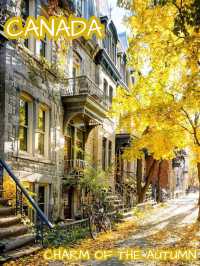 Budget- Friendly cities for Autumn Travel!🍂