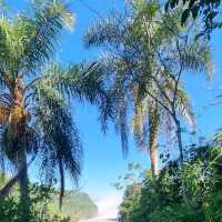 Iguazu Falls view