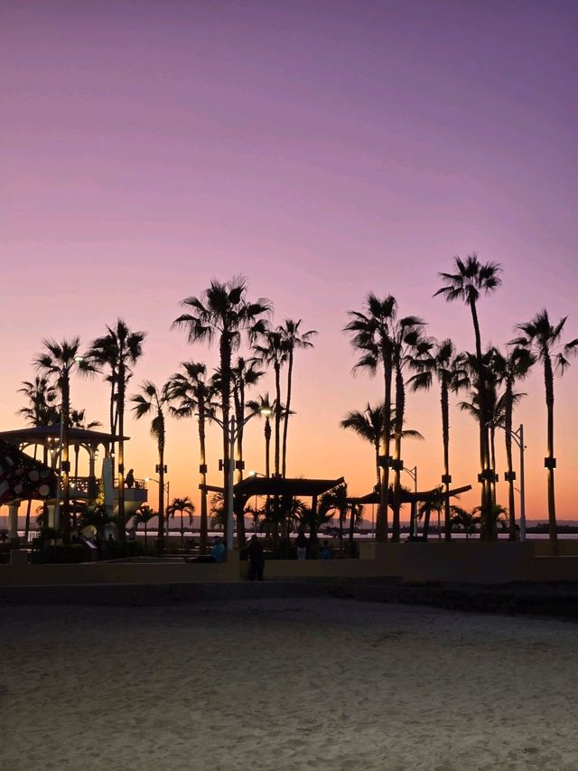 Best of Baja California in 7 days