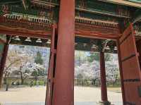 Exploring a Korean palace felt like stepping into history 