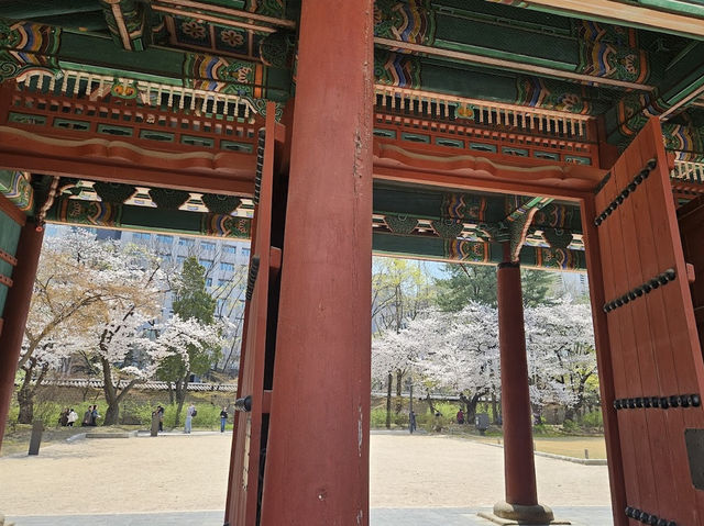 Exploring a Korean palace felt like stepping into history 