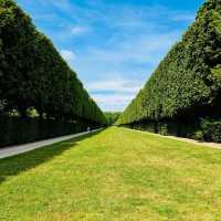 🏰✨ Château de Versailles: France’s Crown Jewel of Elegance and History ✨🏰    