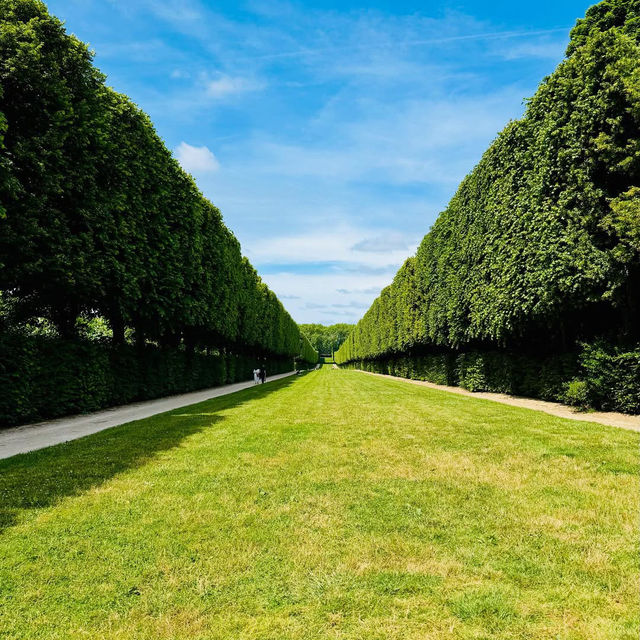 🏰✨ Château de Versailles: France’s Crown Jewel of Elegance and History ✨🏰    