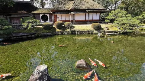岡山後楽園と岩国錦帯橋:日本の歴史と美を感じる名所めぐり — traveler post in 水戸