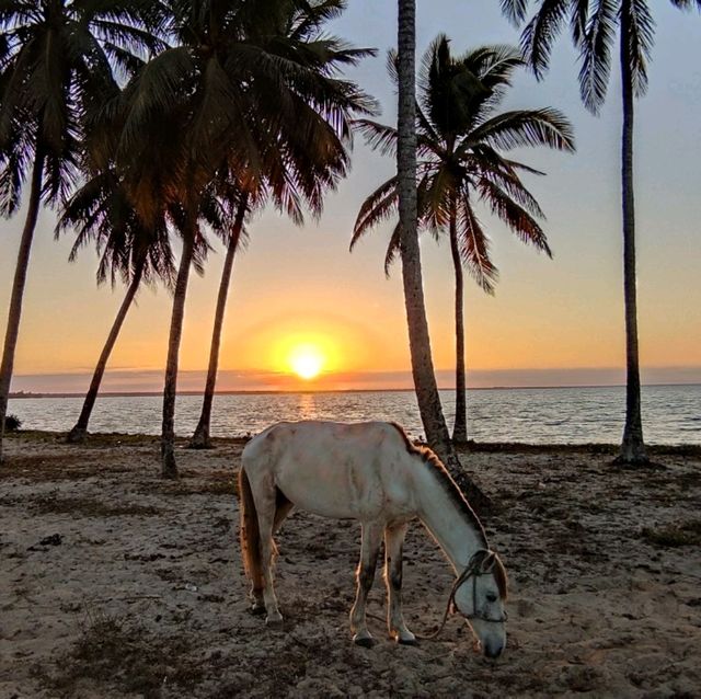 Playa Larga – when the name says it all