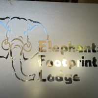 Elephant foot print lodge 