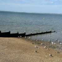 【英國】去海邊玩！食生蠔！Whitstable 3大熱門拍攝景點推介