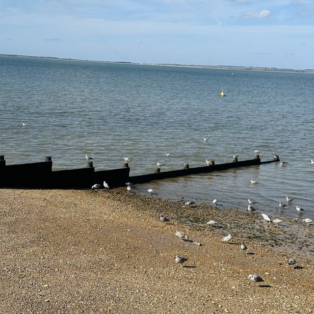 【英國】去海邊玩！食生蠔！Whitstable 3大熱門拍攝景點推介