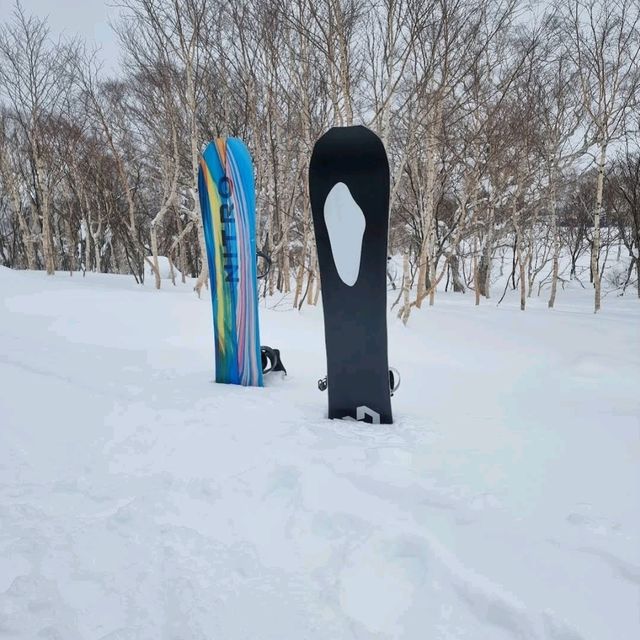 ❄️新雪谷格蘭比羅夫滑雪場❄️新雪谷最大的滑雪場