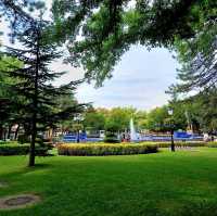 A Serene City in Northern Serbia