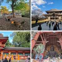 The Ultimate Japan Travel Itinerary for First Timers