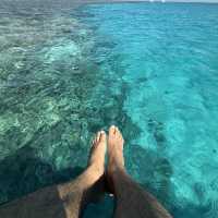 Pure Hidden Gem In Egypt HURGHADA 