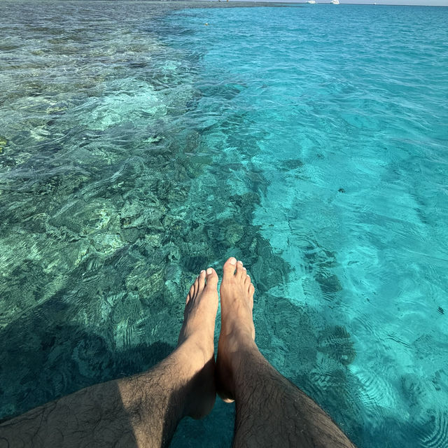Pure Hidden Gem In Egypt HURGHADA 
