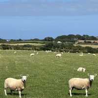 A hidden gem in Bride, Isle of Man 