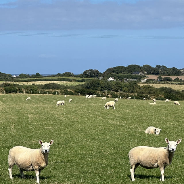 A hidden gem in Bride, Isle of Man 