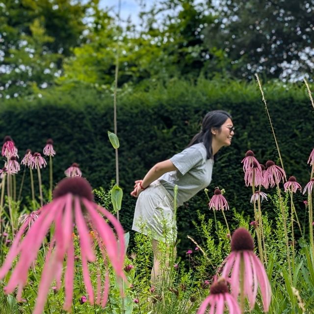 🦌 與自然親密接觸！英國Richmond Park的鹿群奇遇 🌳