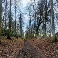 Houghton House - Pine View Park