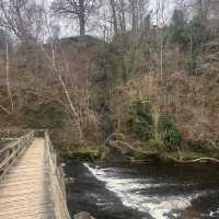 The perfect winter walk 
