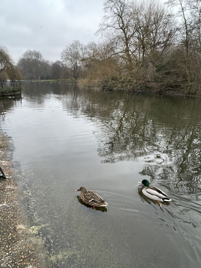 London 5-Day Chill Trip Itinerary 🇬🇧