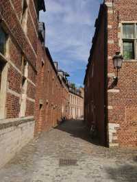 🏛️ Leuven: History, Culture, and Tranquil Escapes