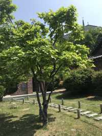 Daegu Jeil Church