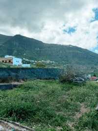 Parque del Drago: Tenerife’s Living Legend