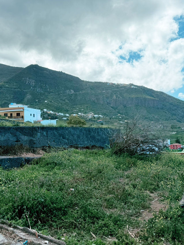 Parque del Drago: Tenerife’s Living Legend