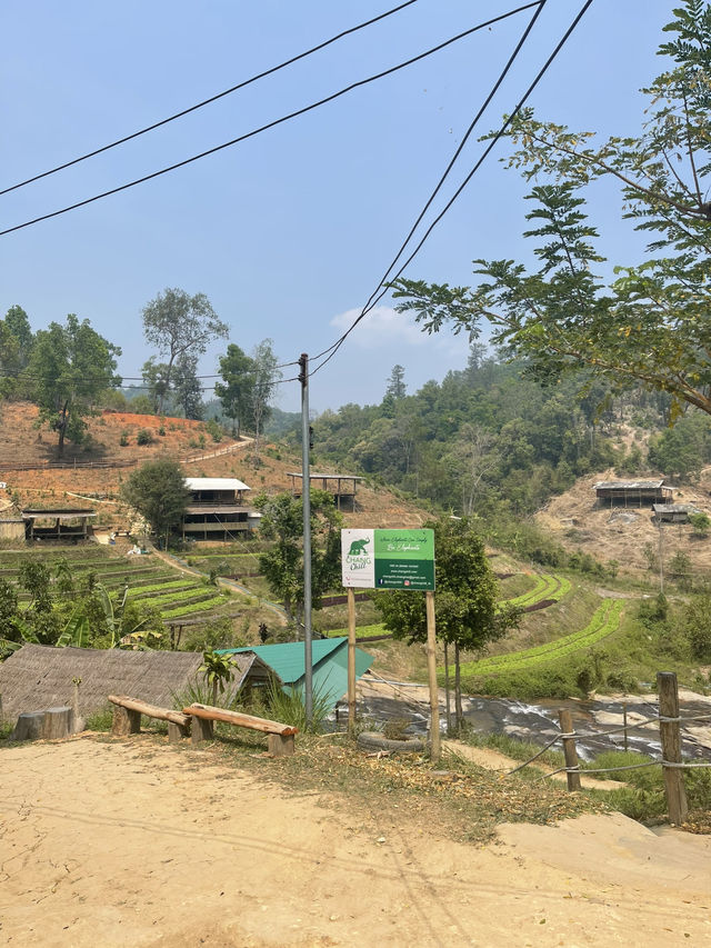 Truly Ethical Elephant Sanctuary in Chiang Mai